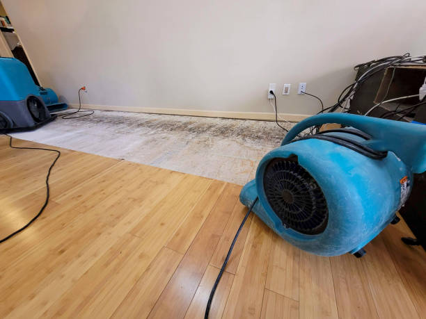 Professional Sewage Cleanup technician working in Winkelman, AZ